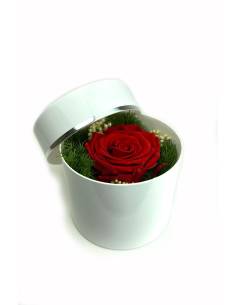 Boîte ronde rose éternelle Rouge
