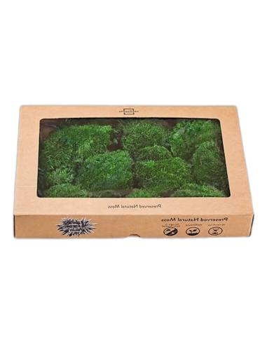 Boîte kraft à fenêtre de mousse boule stabilisée vert foncé
