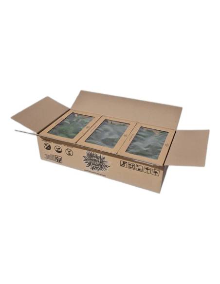 Carton ouvert contenant les boîtes de mousse boule stabilisée vert foncé