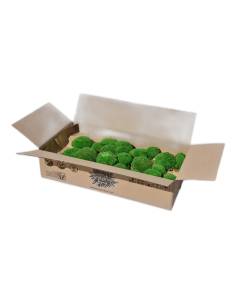 Boîte en carton ouverte remplie de coussins de mousse boule stabilisée vert vif