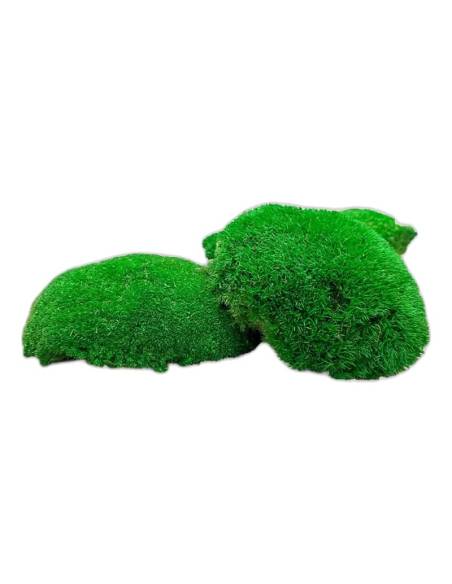Deux coussins de mousse boule stabilisée vert vif, vus de côté