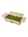 Boîte en carton ouverte de mousse boule stabilisée vert naturel, plus clair