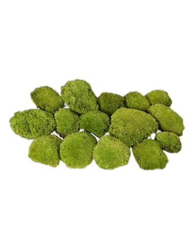 Coussins de mousse boule stabilisée vert naturel assemblés à plat