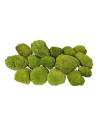 Coussins de mousse boule stabilisée vert naturel assemblés à plat