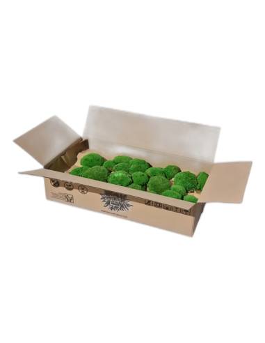 Détail des coussins bombés de la mousse boule stabilisée ignifugée