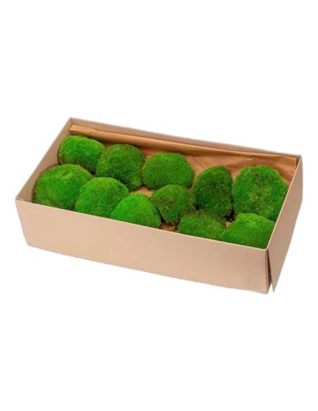Carton ouvert rempli de boules de mousse stabilisée XL en vrac