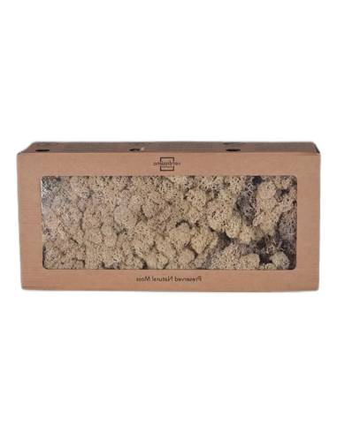 Boîte à fenêtre de lichen stabilisé naturel