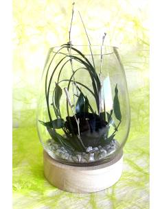 Vase Tulipa édition Black flower S Gold