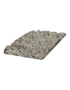 Carton de lichen stabilisé en vrac, 5 kg