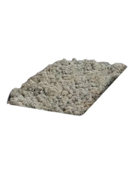 Carton de lichen stabilisé en vrac, 5 kg