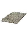 Carton de lichen stabilisé en vrac, 5 kg