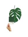 Feuille de monstera stabilisée vue de dos, nervures apparentes