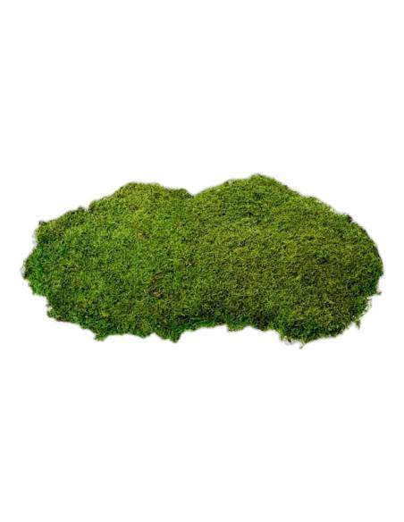 Mousse plate stabilisée en vrac, vue 3 sur 4