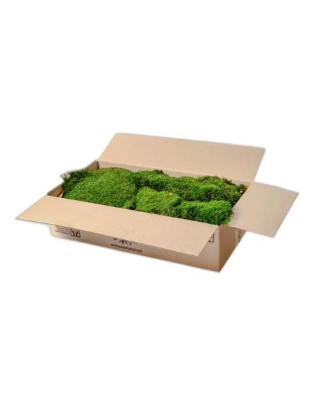 Carton ouvert de mousse plate stabilisée ignifugée en vrac