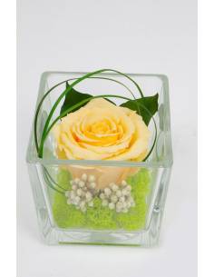 Cube déco rose éternelle Pêche lichen