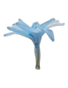 Fleur de tubéreuse stabilisée bleu clair, vue de profil