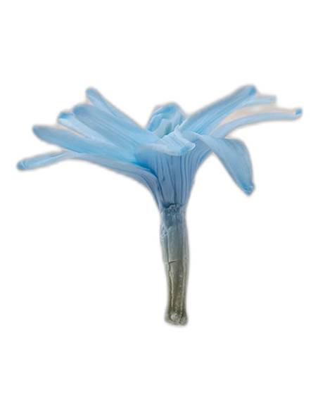 Fleur de tubéreuse stabilisée bleu clair, vue de profil