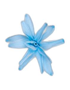 Fleur de tubéreuse stabilisée bleu clair, vue de profil 2