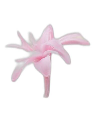 Fleur de tubéreuse stabilisée rose pâle, vue de profil