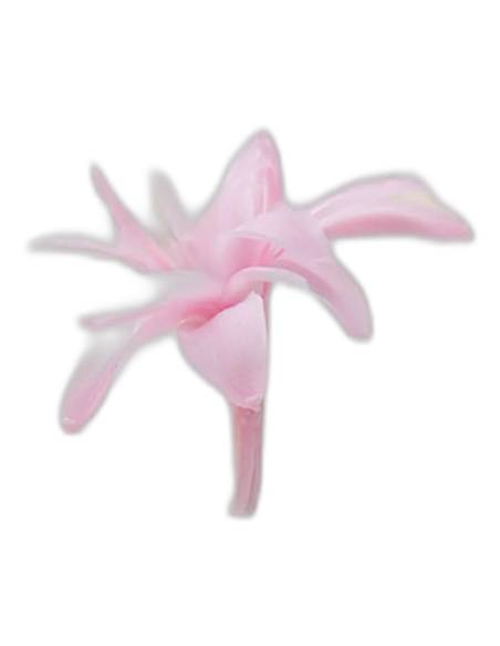 Fleur de tubéreuse stabilisée rose pâle, vue de profil