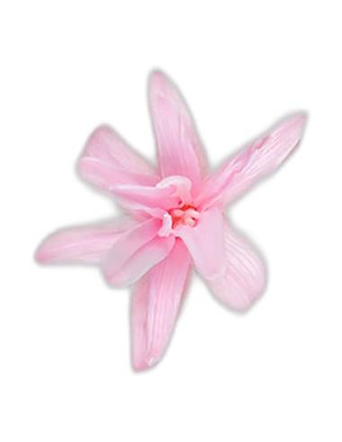 Fleur de tubéreuse stabilisée rose pâle, vue de face en étoile