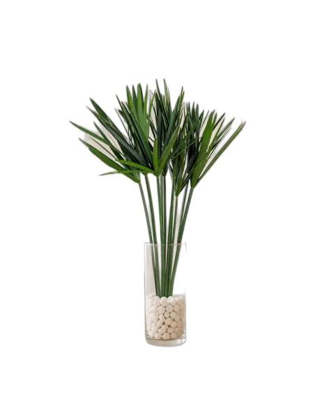 Papyrus stabilisé dans un vase en verre lesté de galets, posé dans un salon