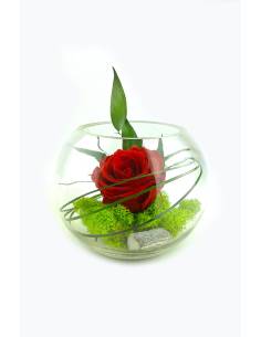 Boule déco rose éternelle Rouge lichen