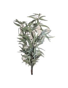 Botte d'eucalyptus pendula stabilisé, longues feuilles vert gris, sur fond beige