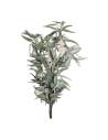 Botte d'eucalyptus pendula stabilisé, longues feuilles vert gris, sur fond beige