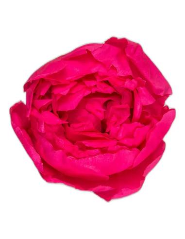 Tête de pivoine stabilisée rose foncé, vue de dessus