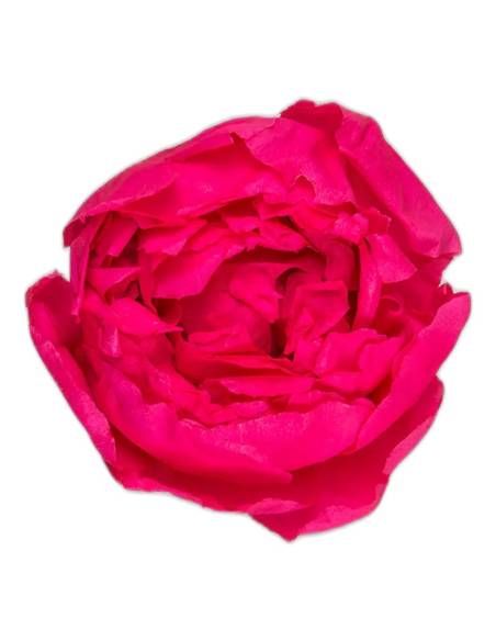 Tête de pivoine stabilisée rose foncé, vue de dessus