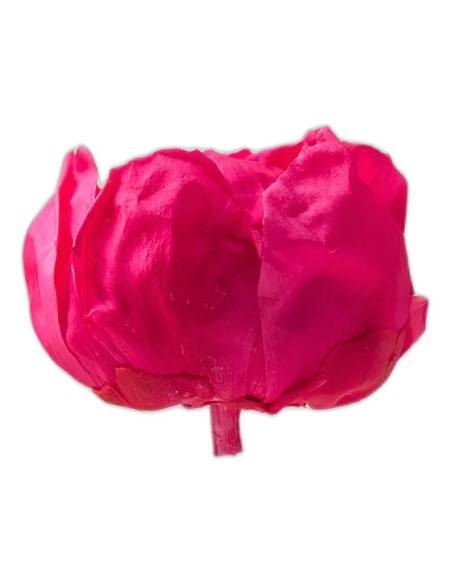 Tête de pivoine stabilisée rose foncé vue de profil, avec son pédoncule