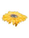 Gerbera stabilisé jaune chaud sur sa longue tige, cœur sombre, sur fond uni