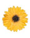 Gerberas stabilisés sur tige, boîte de 4, vue 3 sur 15