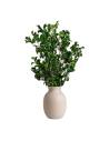 Pittosporum stabilisé dans un vase beige sur une table