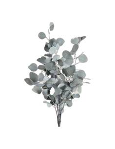 Botte d'eucalyptus populus stabilisé vert, feuilles rondes vert gris