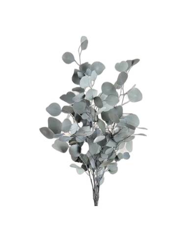 Botte d'eucalyptus populus stabilisé vert, feuilles rondes vert gris