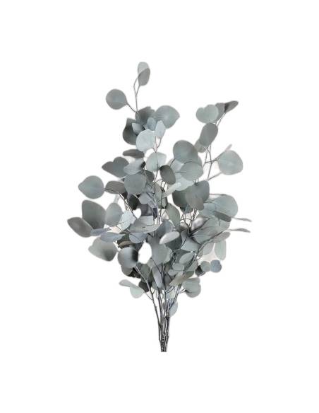 Botte d'eucalyptus populus stabilisé vert, feuilles rondes vert gris