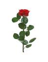 Mini roses éternelles de jardin sur tige, lot de 25, photo 6 sur 16