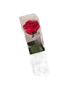 Coffret individuel à fenêtre avec une rose éternelle rouge à tige longue et son feuillage