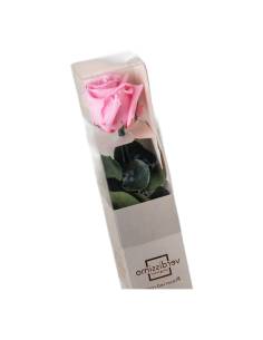 Rose éternelle rose pâle sur tige en coffret