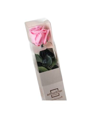Rose éternelle rose pâle sur tige en coffret
