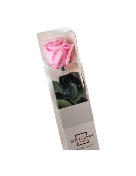 Rose éternelle rose pâle sur tige en coffret