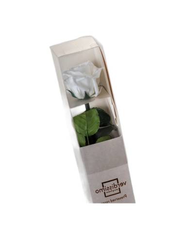 Rose éternelle blanche sur tige en coffret