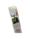 Rose éternelle blanche sur tige en coffret