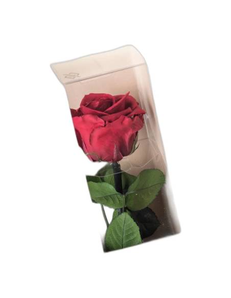 Rose éternelle bourgogne sur tige en coffret