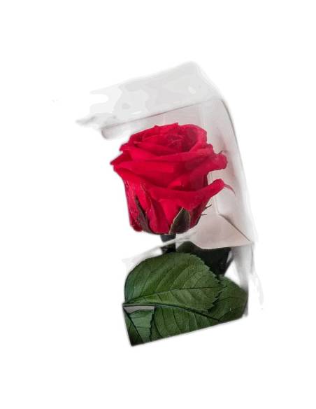 Rose éternelle mini rouge sur tige dans son coffret individuel à fenêtre
