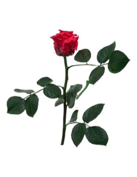 Rose éternelle mini rouge sur tige avec ses feuilles, sans coffret