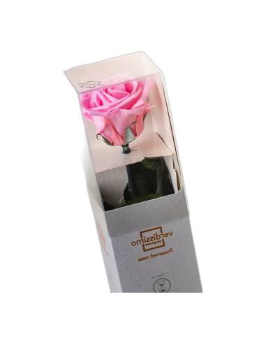 Rose éternelle mini rose pâle sur tige dans son coffret individuel à fenêtre