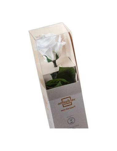 Rose éternelle mini blanche sur tige dans son coffret individuel à fenêtre